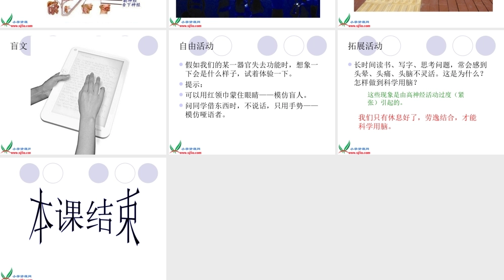 青岛小学科学五下《4.脑与神经》PPT课件 (3)【加微信公众号 jiaoxuewuyou 九折优惠 qq 1119139686】.ppt