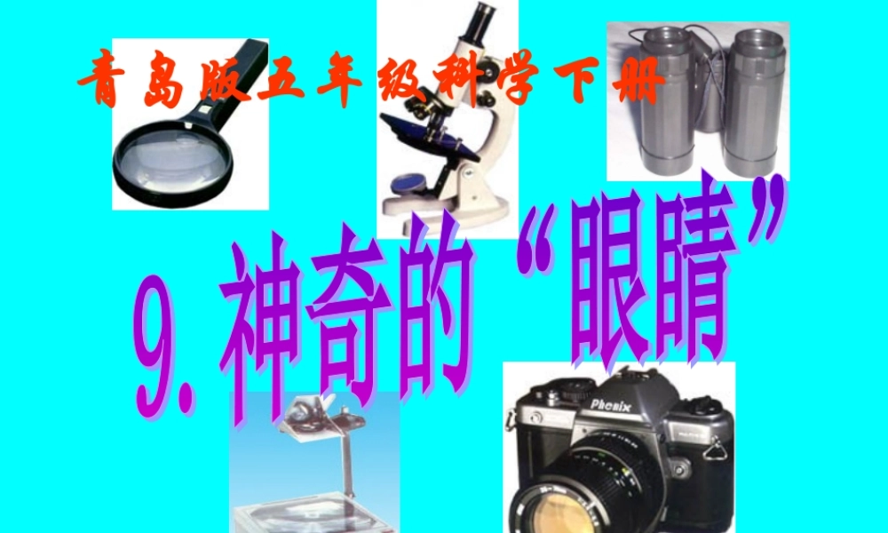 青岛小学科学五下《9.神奇的“眼睛”》PPT课件【加微信公众号 jiaoxuewuyou 九折优惠 qq 1119139686】.ppt