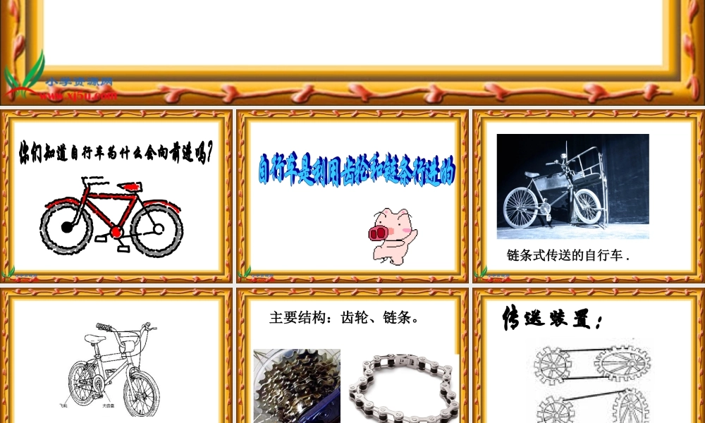 青岛小学科学五上《22.齿轮》PPT课件【加微信公众号 jiaoxuewuyou 九折优惠 qq 1119139686】.ppt