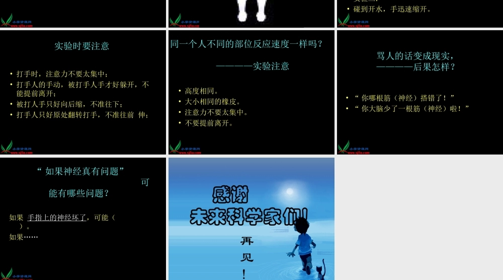 青岛小学科学五下《4.脑与神经》PPT课件 (4)【加微信公众号 jiaoxuewuyou 九折优惠 qq 1119139686】.ppt