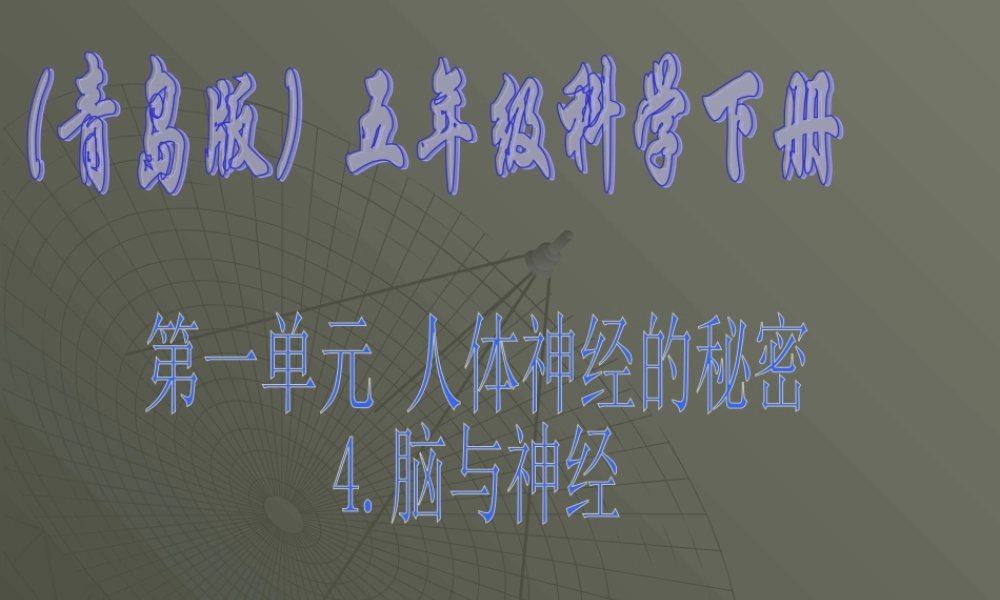 青岛小学科学五下《4.脑与神经》PPT课件 (1)【加微信公众号 jiaoxuewuyou 九折优惠 qq 1119139686】.ppt