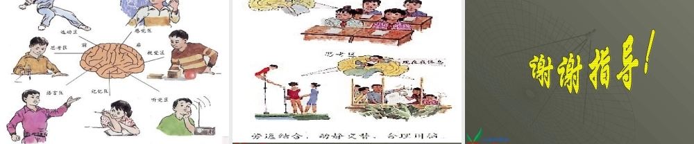 青岛小学科学五下《4.脑与神经》PPT课件 (1)【加微信公众号 jiaoxuewuyou 九折优惠 qq 1119139686】.ppt