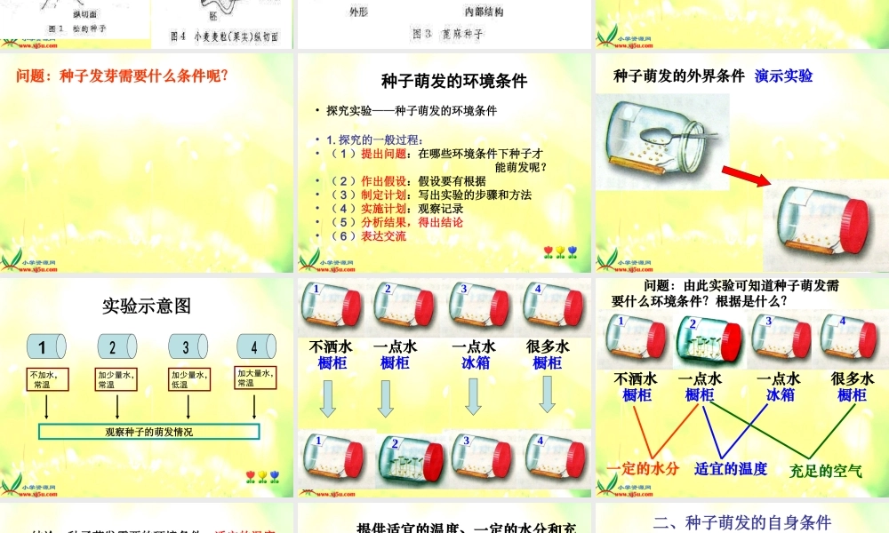 青岛小学科学五下《10.种子发芽了》PPT课件 (2)【加微信公众号 jiaoxuewuyou 九折优惠 qq 1119139686】.ppt
