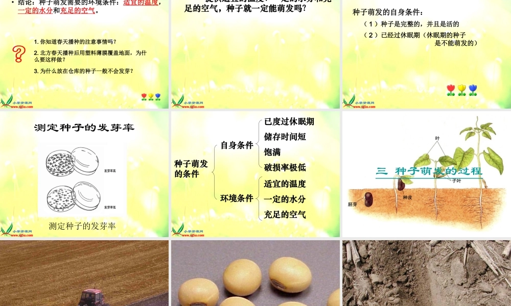 青岛小学科学五下《10.种子发芽了》PPT课件 (2)【加微信公众号 jiaoxuewuyou 九折优惠 qq 1119139686】.ppt