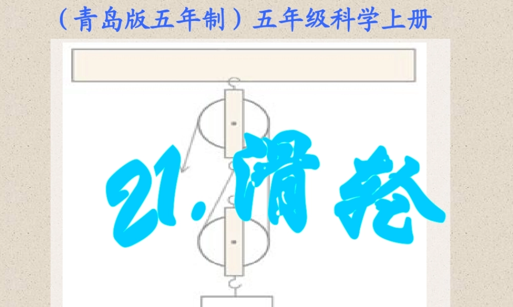 青岛小学科学五上《21滑轮》PPT课件 (3)【加微信公众号 jiaoxuewuyou 九折优惠 qq 1119139686】.ppt