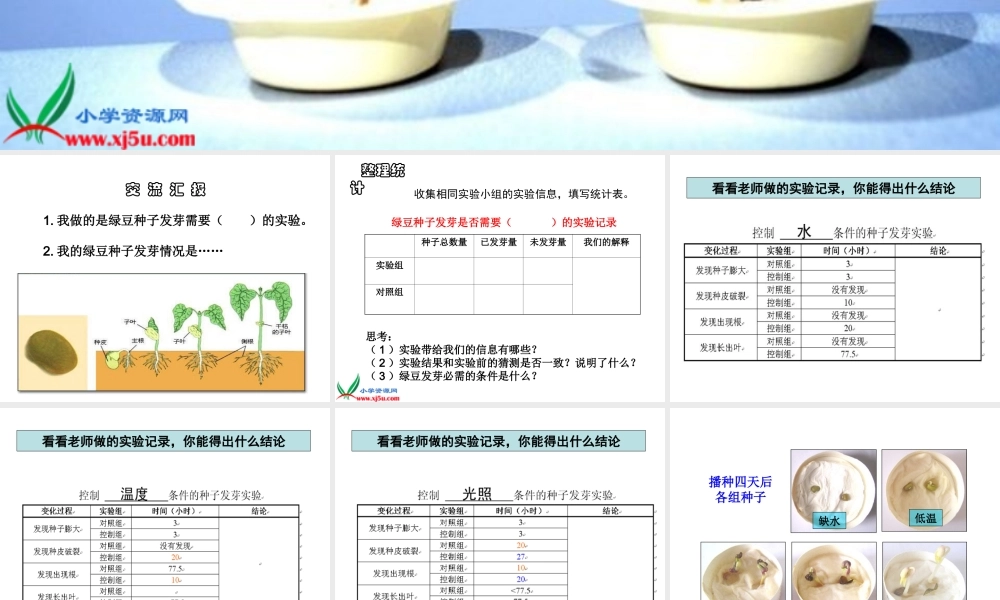 青岛小学科学五下《10.种子发芽了》PPT课件 (3)【加微信公众号 jiaoxuewuyou 九折优惠 qq 1119139686】.ppt