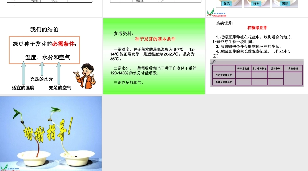 青岛小学科学五下《10.种子发芽了》PPT课件 (3)【加微信公众号 jiaoxuewuyou 九折优惠 qq 1119139686】.ppt