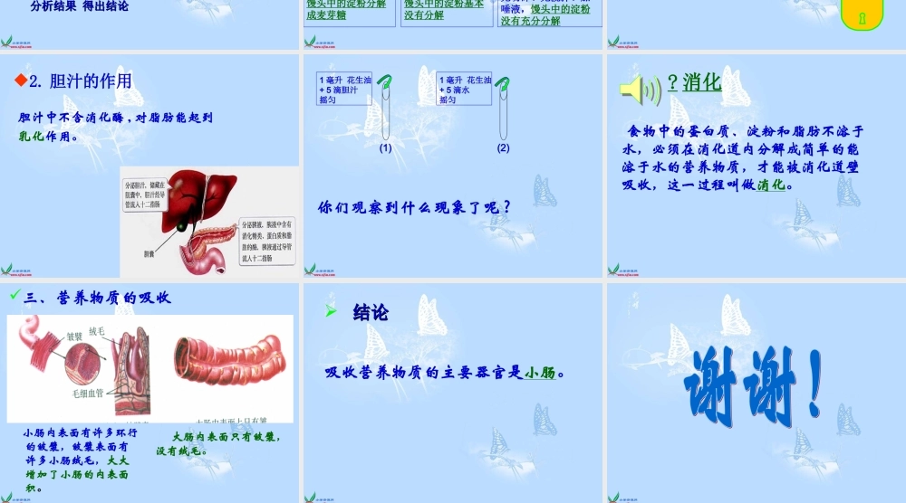 青岛小学科学五下《1.食物到哪里去了》PPT课件【加微信公众号 jiaoxuewuyou 九折优惠 qq 1119139686】.ppt