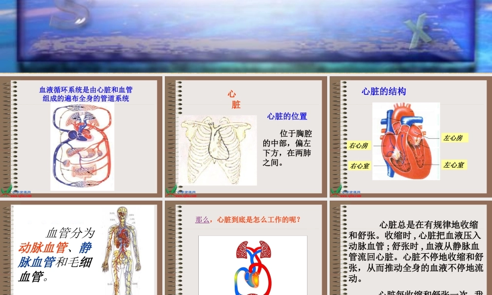 青岛小学科学五下《3.心脏和血管》PPT课件 (3)【加微信公众号 jiaoxuewuyou 九折优惠 qq 1119139686】.ppt