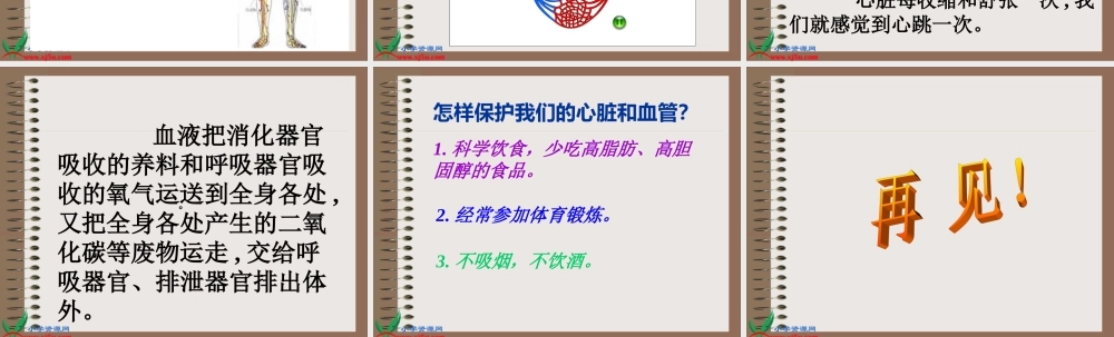 青岛小学科学五下《3.心脏和血管》PPT课件 (3)【加微信公众号 jiaoxuewuyou 九折优惠 qq 1119139686】.ppt