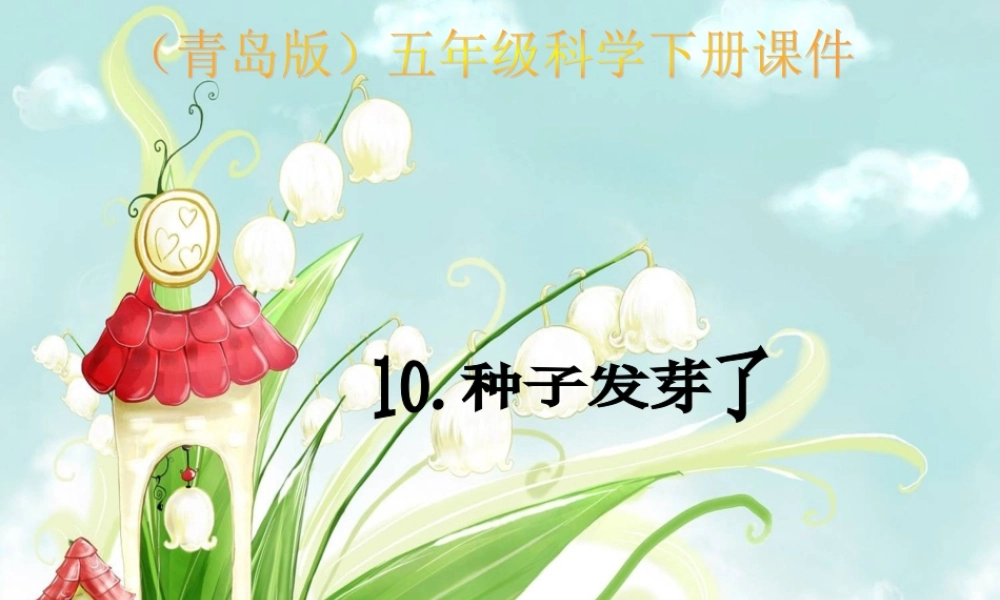 青岛小学科学五下《10.种子发芽了》PPT课件 (4)【加微信公众号 jiaoxuewuyou 九折优惠 qq 1119139686】.ppt