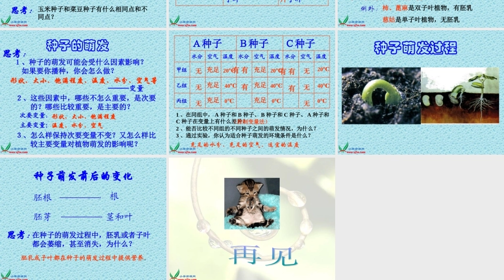 青岛小学科学五下《10.种子发芽了》PPT课件 (4)【加微信公众号 jiaoxuewuyou 九折优惠 qq 1119139686】.ppt