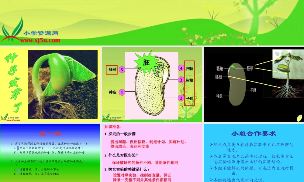 青岛小学科学五下《10.种子发芽了》PPT课件 (7)【加微信公众号 jiaoxuewuyou 九折优惠 qq 1119139686】.ppt