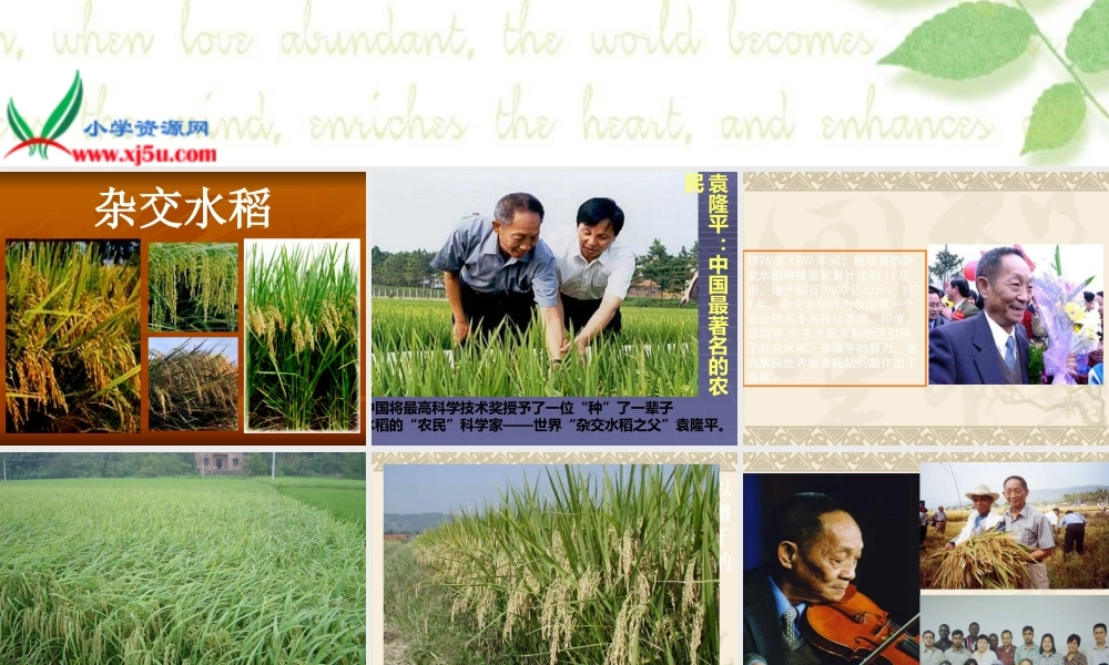 青岛小学科学五下《15.生物繁殖新技术》PPT课件 (1)【加微信公众号 jiaoxuewuyou 九折优惠 qq 1119139686】.ppt