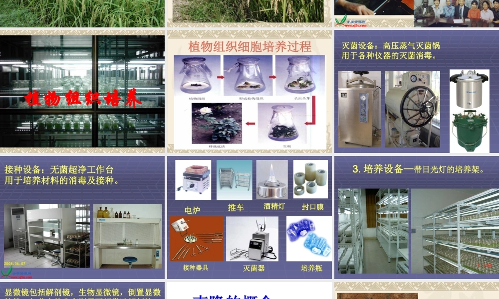 青岛小学科学五下《15.生物繁殖新技术》PPT课件 (1)【加微信公众号 jiaoxuewuyou 九折优惠 qq 1119139686】.ppt
