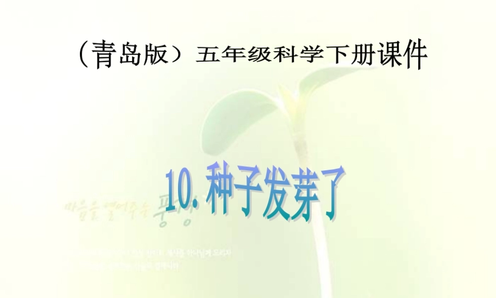 青岛小学科学五下《10.种子发芽了》PPT课件 (5)【加微信公众号 jiaoxuewuyou 九折优惠 qq 1119139686】.ppt
