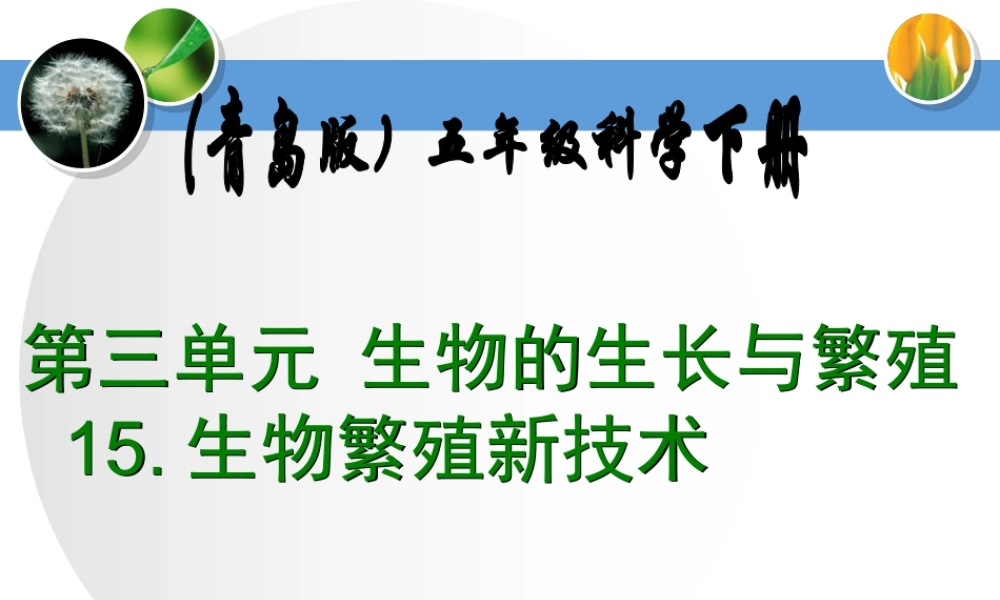 青岛小学科学五下《15.生物繁殖新技术》PPT课件 (2)【加微信公众号 jiaoxuewuyou 九折优惠 qq 1119139686】.ppt