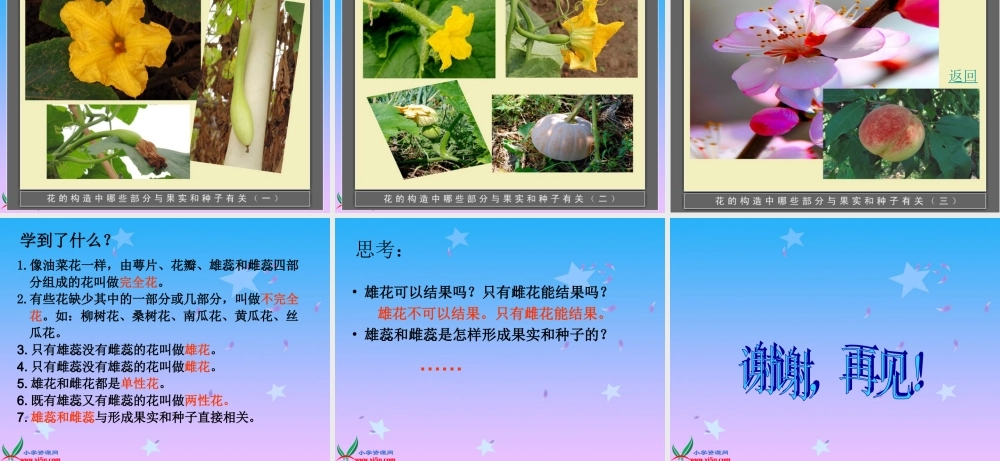 青岛小学科学五下《12.植物的花》PPT课件 (4)【加微信公众号 jiaoxuewuyou 九折优惠 qq 1119139686】.ppt