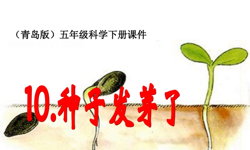 青岛小学科学五下《10.种子发芽了》PPT课件 (6)【加微信公众号 jiaoxuewuyou 九折优惠 qq 1119139686】.ppt
