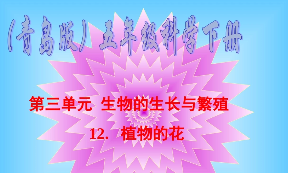 青岛小学科学五下《12.植物的花》PPT课件 (2)【加微信公众号 jiaoxuewuyou 九折优惠 qq 1119139686】.ppt