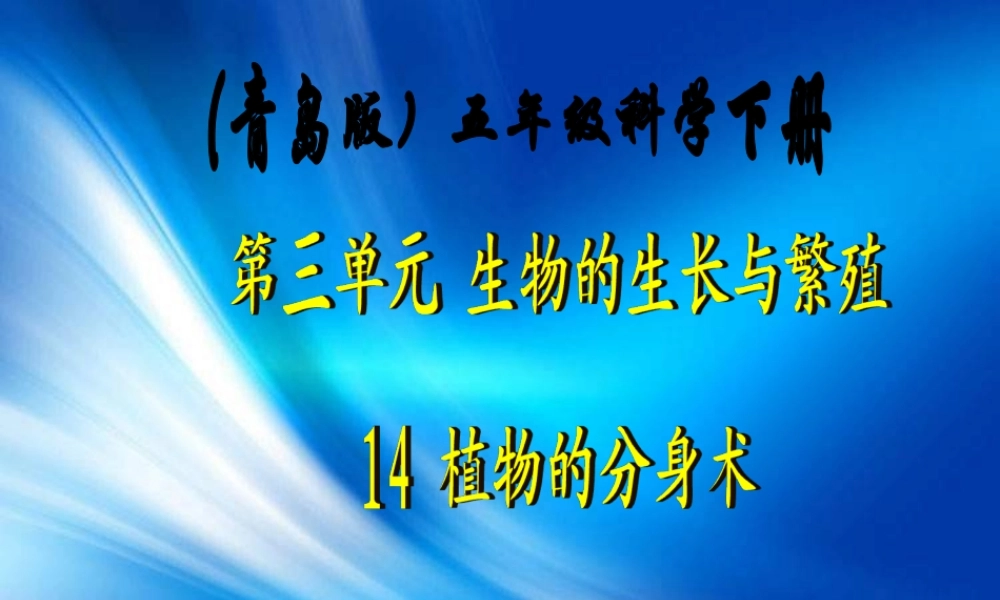青岛小学科学五下《14.植物的“分身术”》PPT课件 (1)【加微信公众号 jiaoxuewuyou 九折优惠 qq 1119139686】.ppt