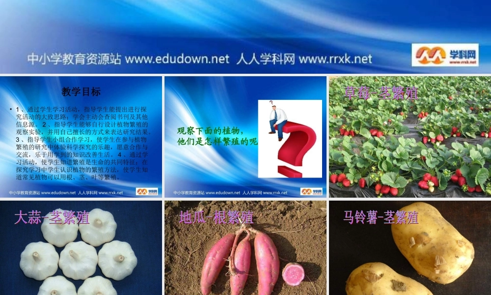 青岛小学科学五下《14.植物的“分身术”》PPT课件 (1)【加微信公众号 jiaoxuewuyou 九折优惠 qq 1119139686】.ppt