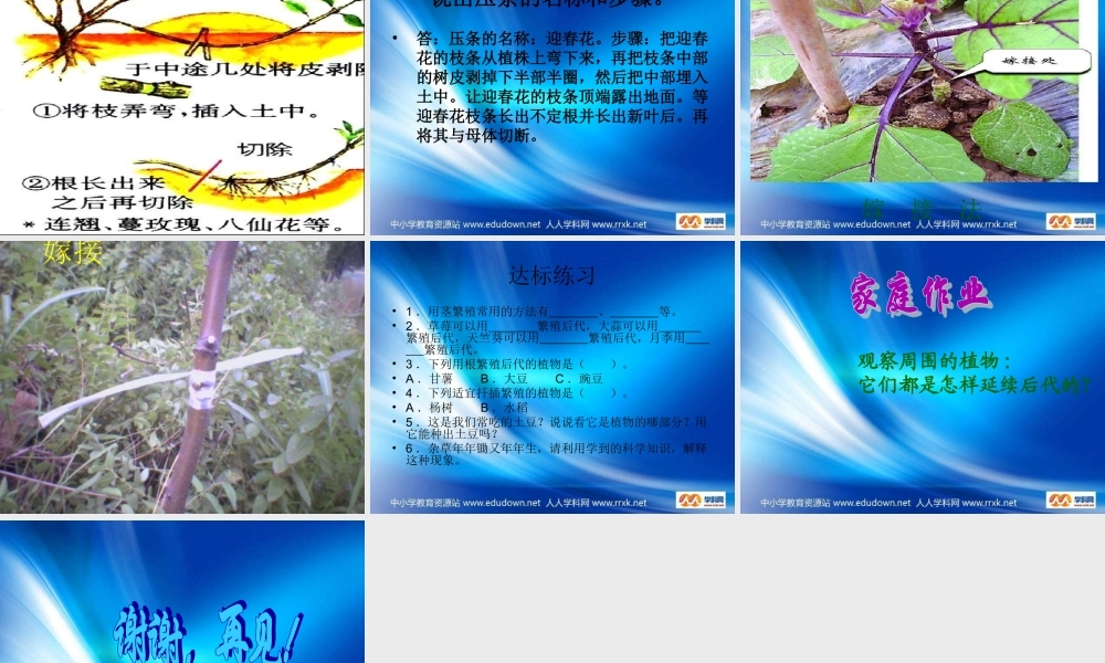 青岛小学科学五下《14.植物的“分身术”》PPT课件 (1)【加微信公众号 jiaoxuewuyou 九折优惠 qq 1119139686】.ppt