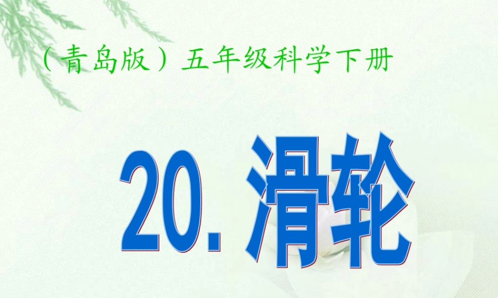 青岛小学科学五下《20.滑轮》PPT课件 (4)【加微信公众号 jiaoxuewuyou 九折优惠 qq 1119139686】.ppt