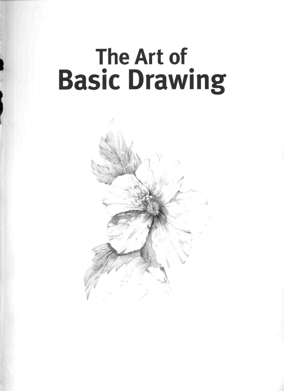 [绘画方面的资料].The.Art.of.Basic.Drawing(基础美术绘画)(10月10日).pdf_第2页
