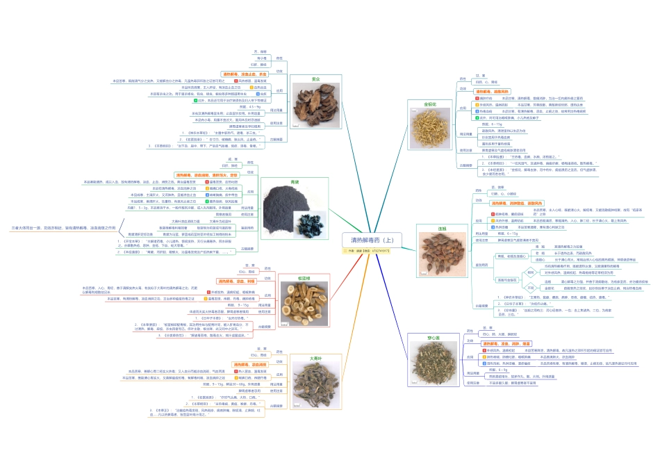 2.3.1清热解毒药（上）.pdf_第1页