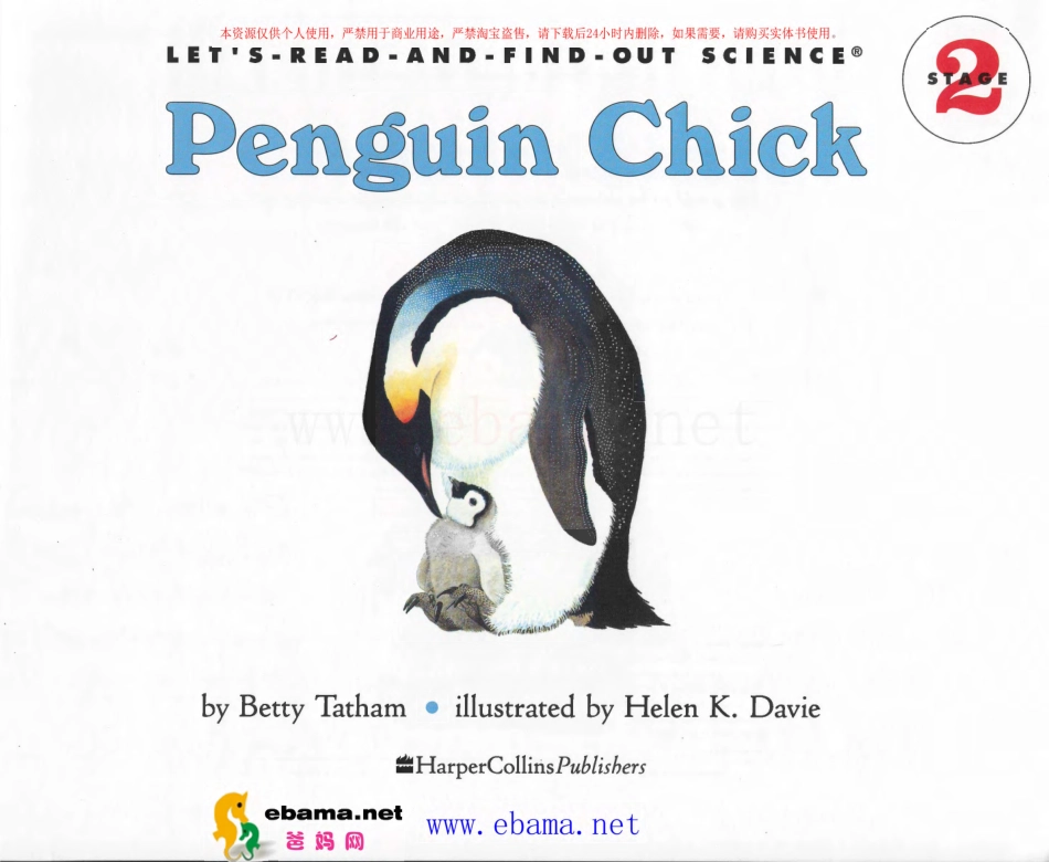 2-21 Penguin Chick-1.pdf_第3页