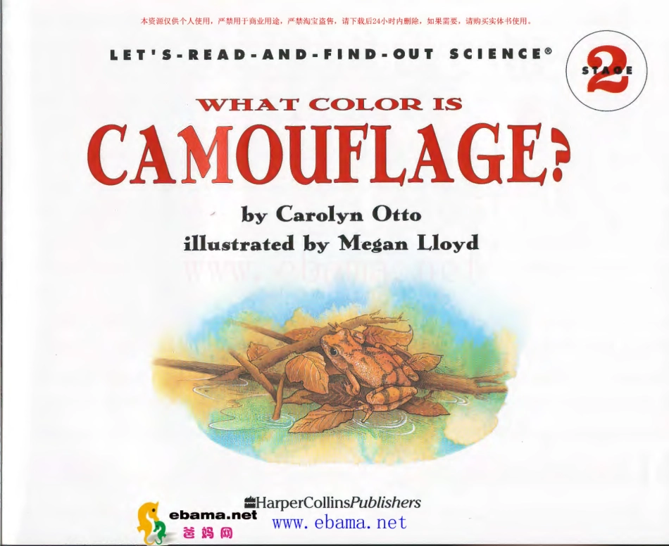 2-25 What Color is Camouflage-1.pdf_第3页