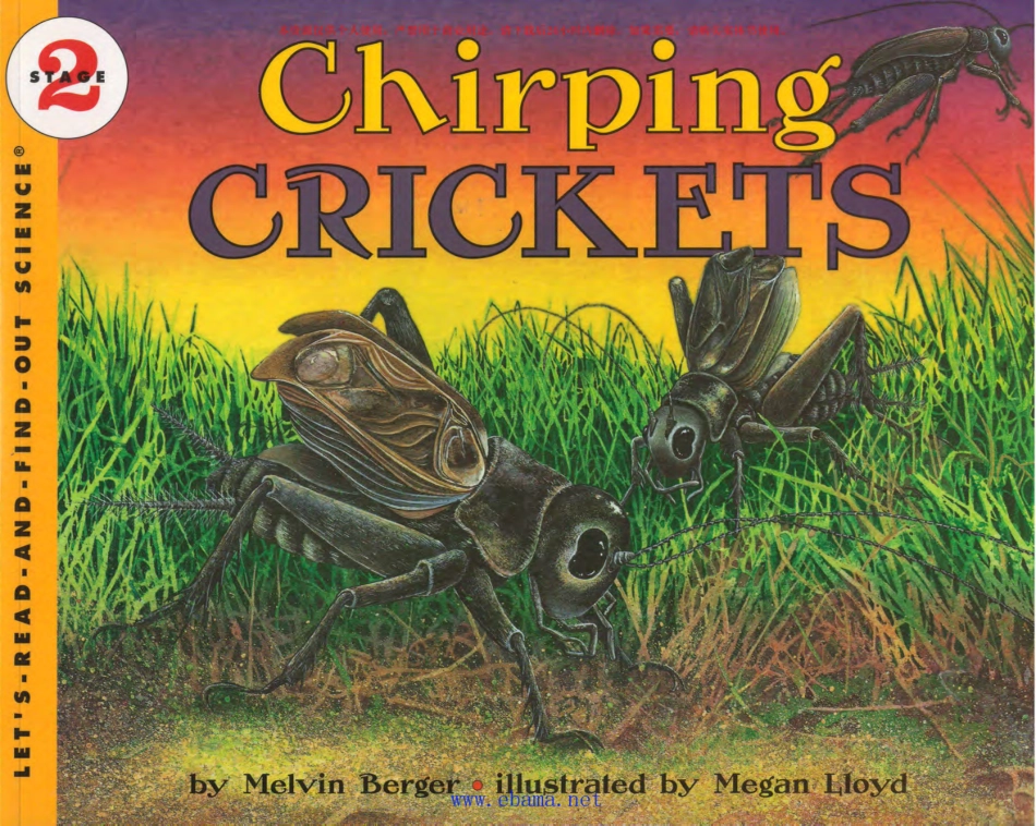 2-11 Chirping Crickets-1.pdf_第1页