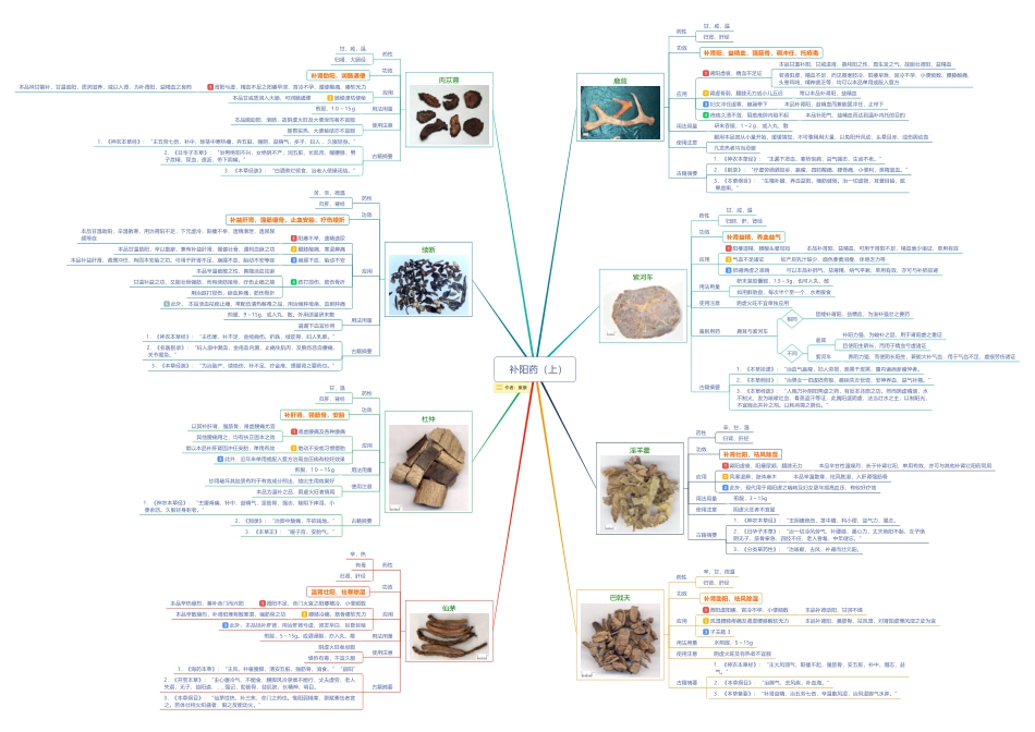17.2.1补阳药（上）.pdf_第1页