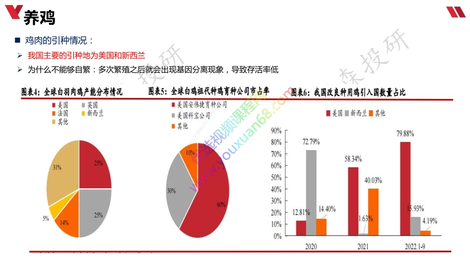 1122鸡肉行业梳理.pdf_第3页