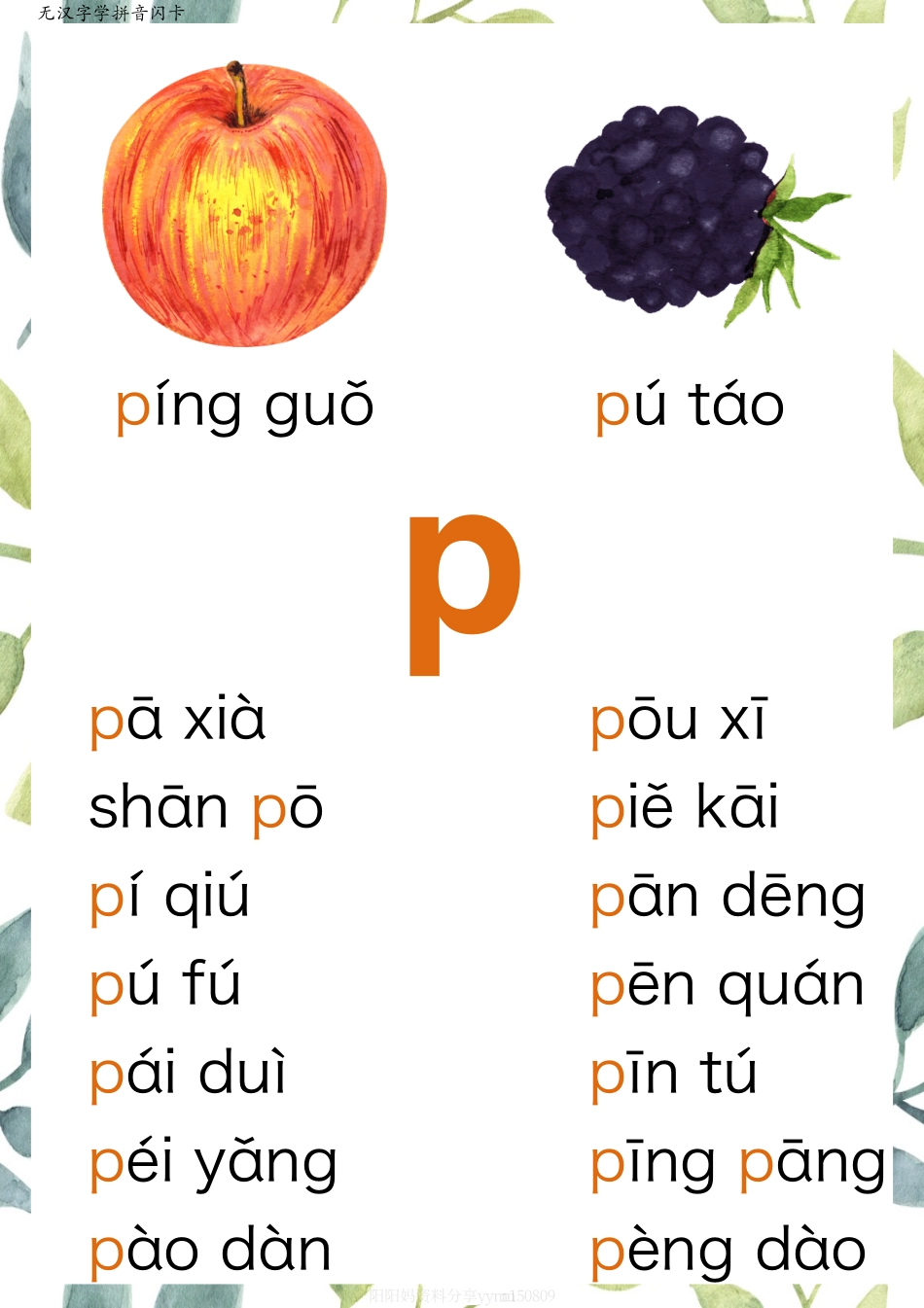 R684 原创无汉字读拼音闪卡.pdf_第2页