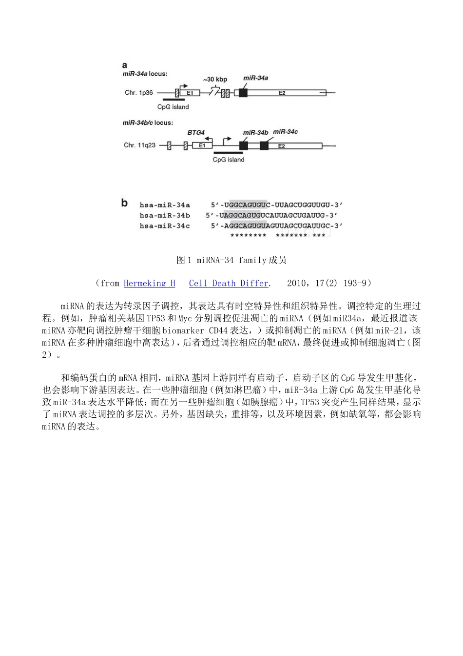 miRNA简介.doc_第2页