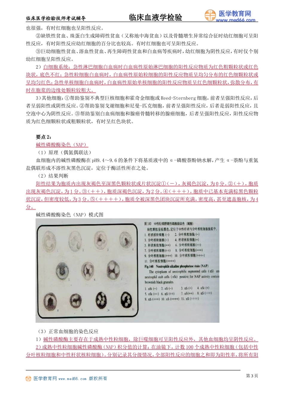 xyjy_jy0401.doc_第3页