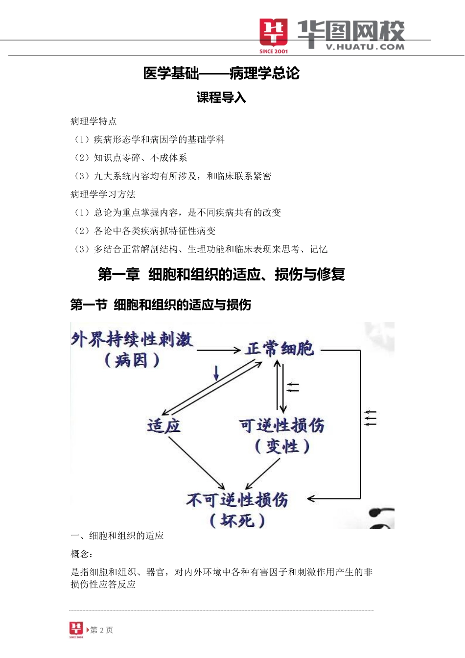 病理学总论.pdf_第3页