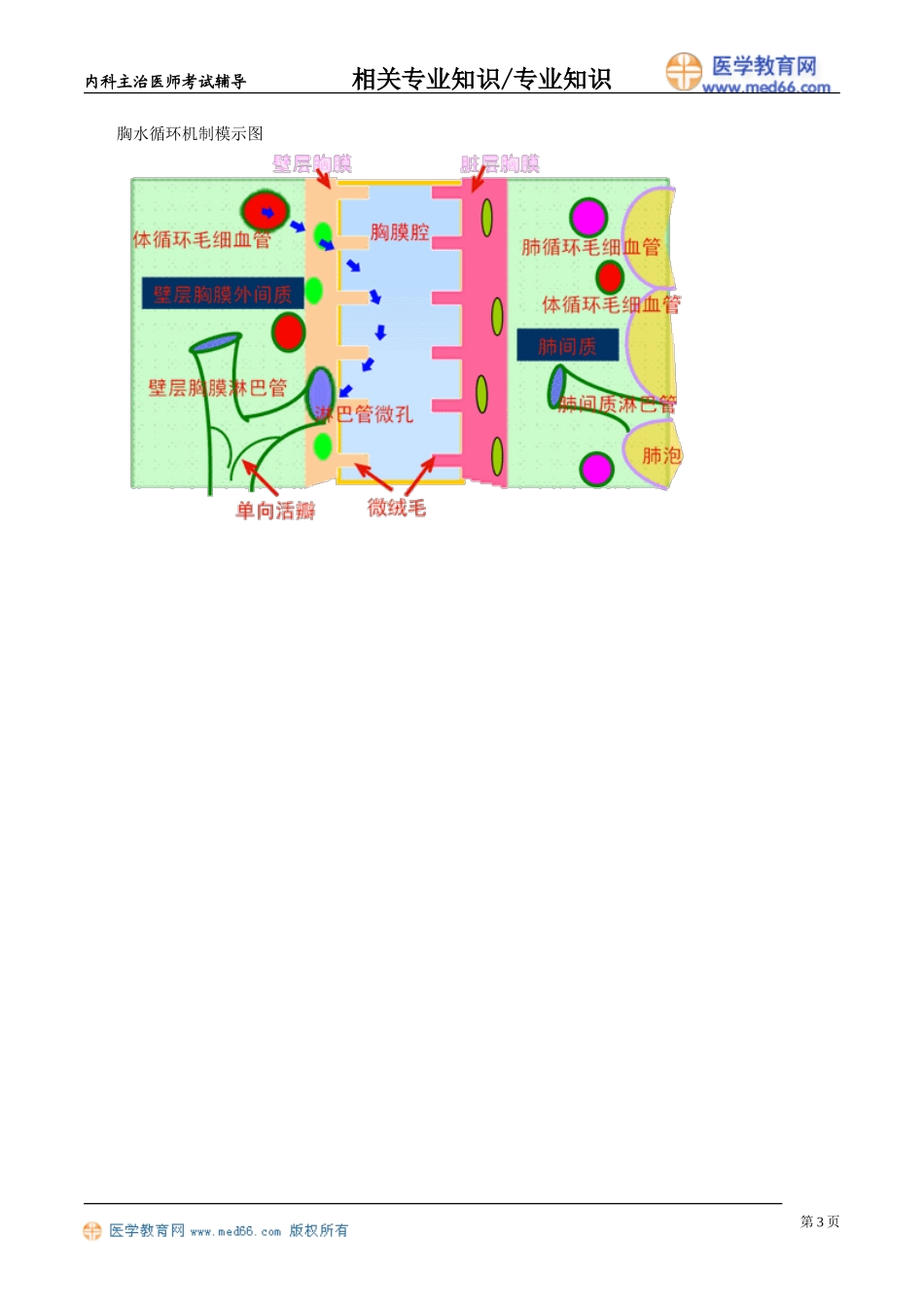 zyzs_jy0801.doc_第3页