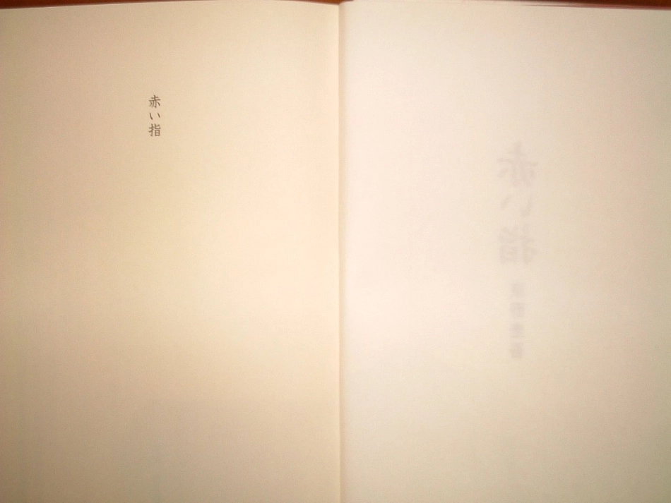 東野圭吾－赤い指.pdf_第3页