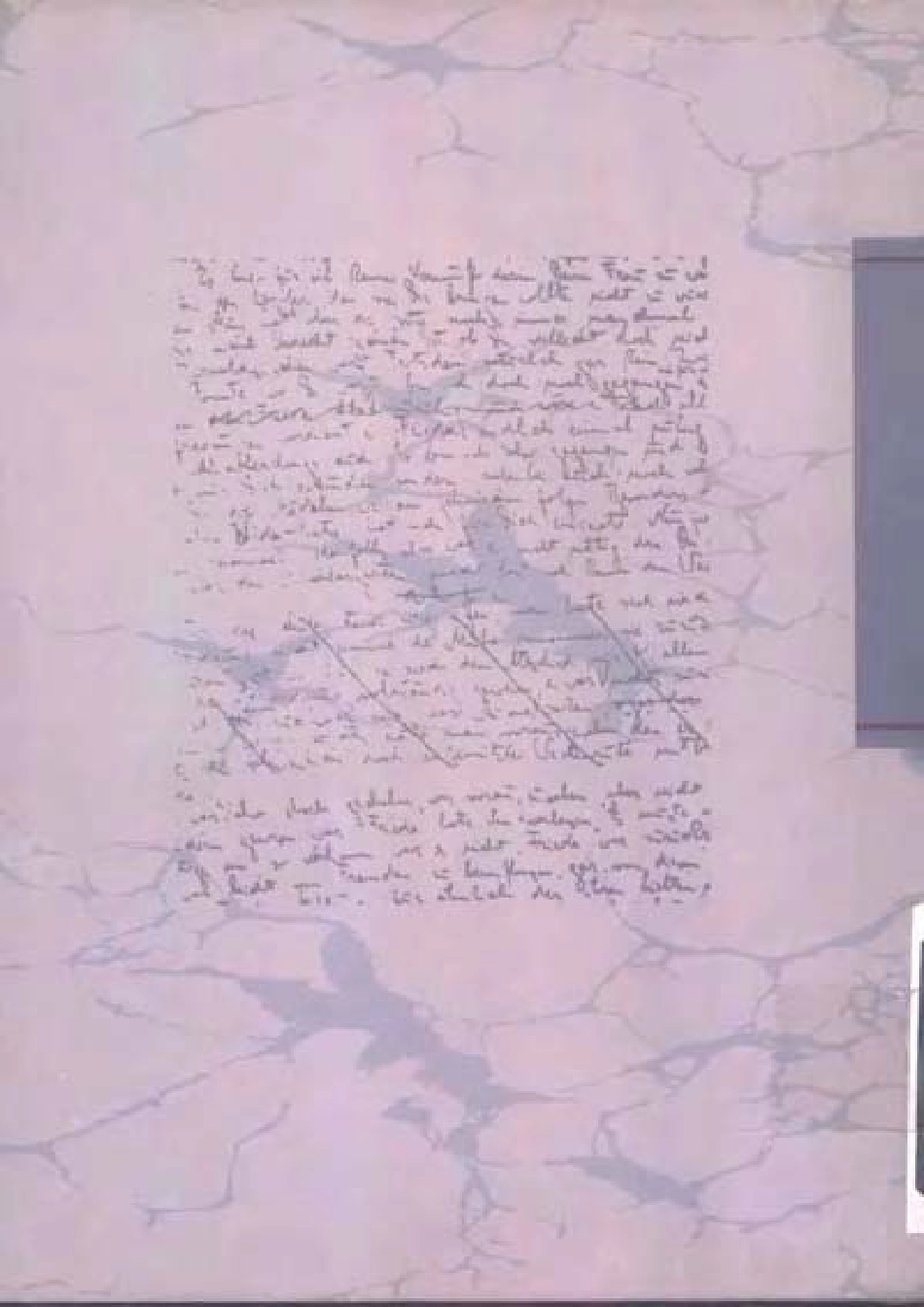 卡夫卡全集第6卷日记.pdf_第2页