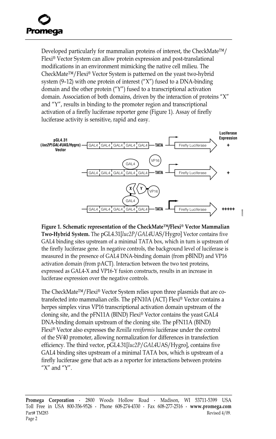 酵母双杂交体系[bioworlde.com].pdf_第3页