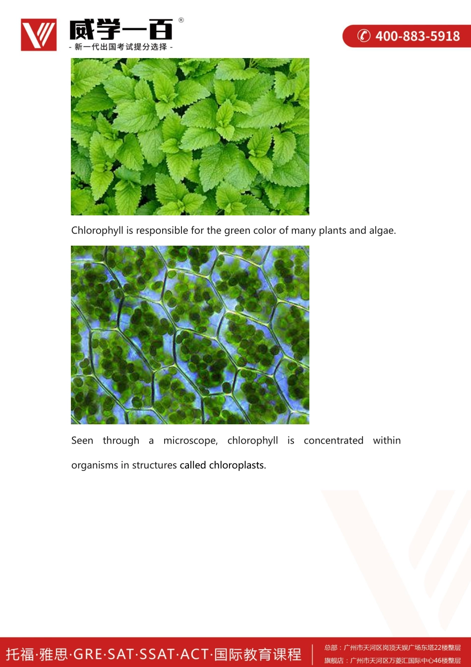 化学物理.pdf_第3页