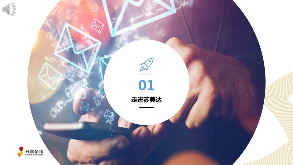 开鑫金服.pdf_第3页