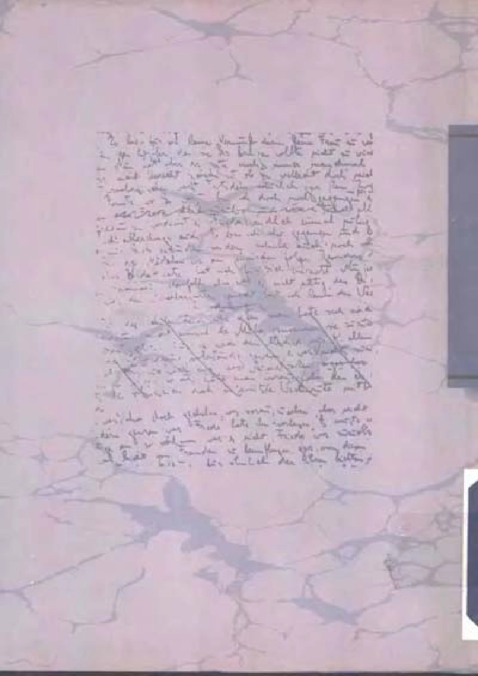 卡夫卡全集第5卷随笔·谈话录.pdf_第2页