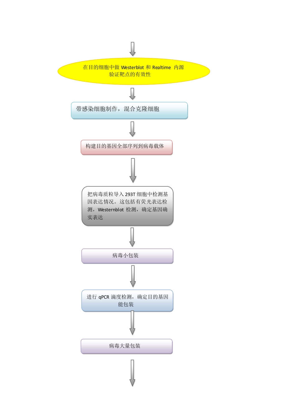 敲减及过表达实验程序设计简图.pdf_第2页