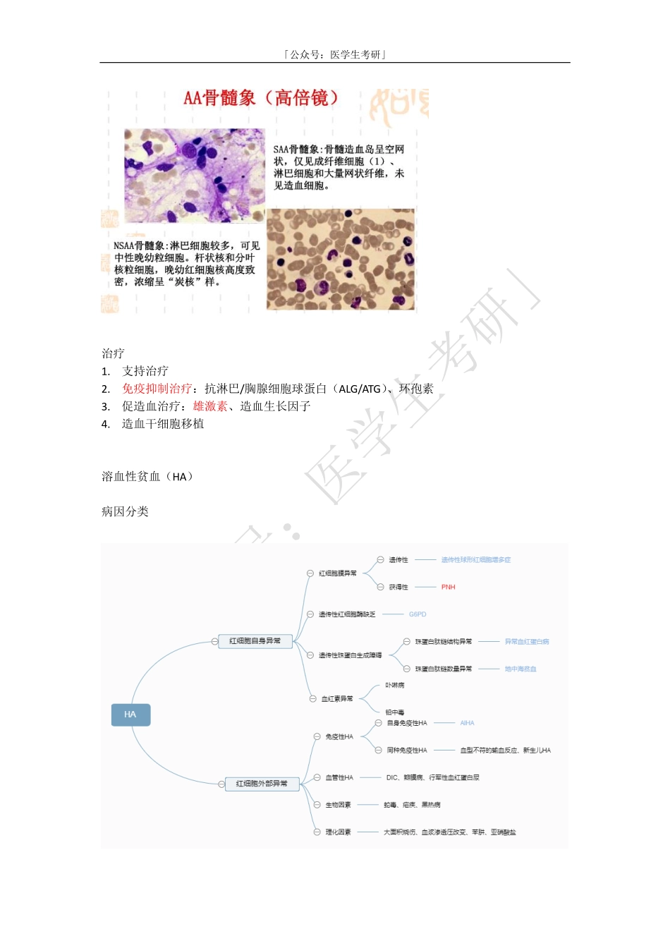 内科学：再生障碍性贫血AA和溶血性贫血HA(2).pdf_第2页