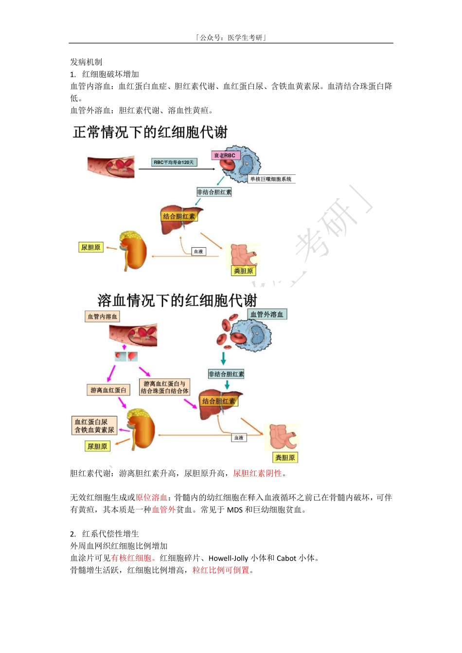 内科学：再生障碍性贫血AA和溶血性贫血HA(2).pdf_第3页