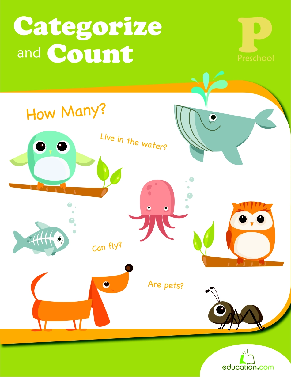 categorize and count 分数和点数 [jiaoyupan.com].pdf_第1页